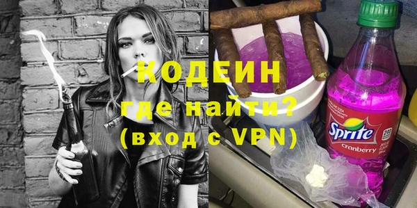 дмт Ельня