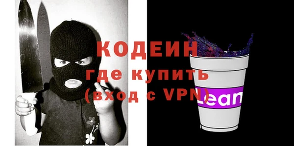 дмт Ельня