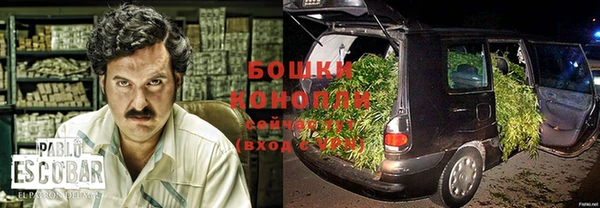 твердый Елизово
